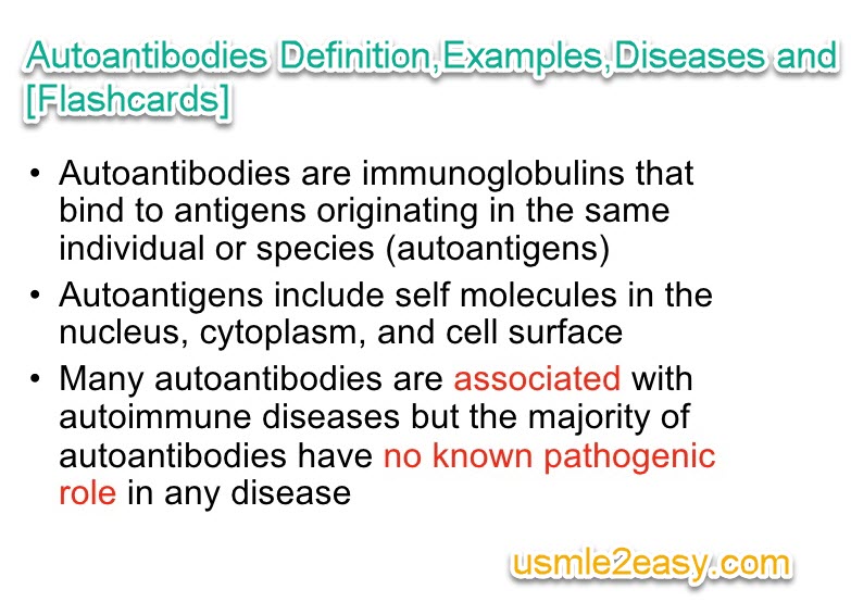 Autoantibodies Definition,Examples,Diseases and [Flashcards]