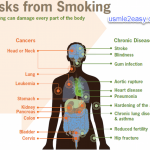 How smoking damage your organ