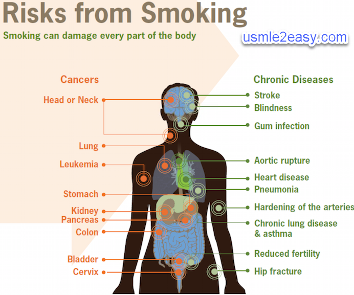 How smoking damage your organ