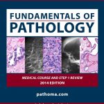 Download Pathoma Fundamentals Of Pathology Videos