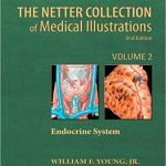 Netter Collection of Medical Illustrations Volume 2 The Endocrine System 2nd Edition