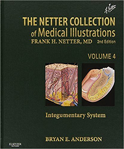 Netter Collection of Medical Illustrations Volume 4 The Integumenatry System 2nd Edition