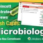 Lippincott Illustrated Reviews Flash Cards Microbiology