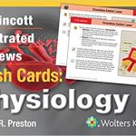 Lippincott Illustrated Reviews Flash Cards Physiology
