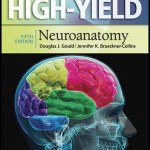 High Yield Neuroanatomy 5th Edition PDF