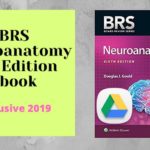 BRS Neuroanatomy 6th Edition 2019 ebook