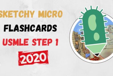 Sketchy Micro Flashcards USMLE Step 1