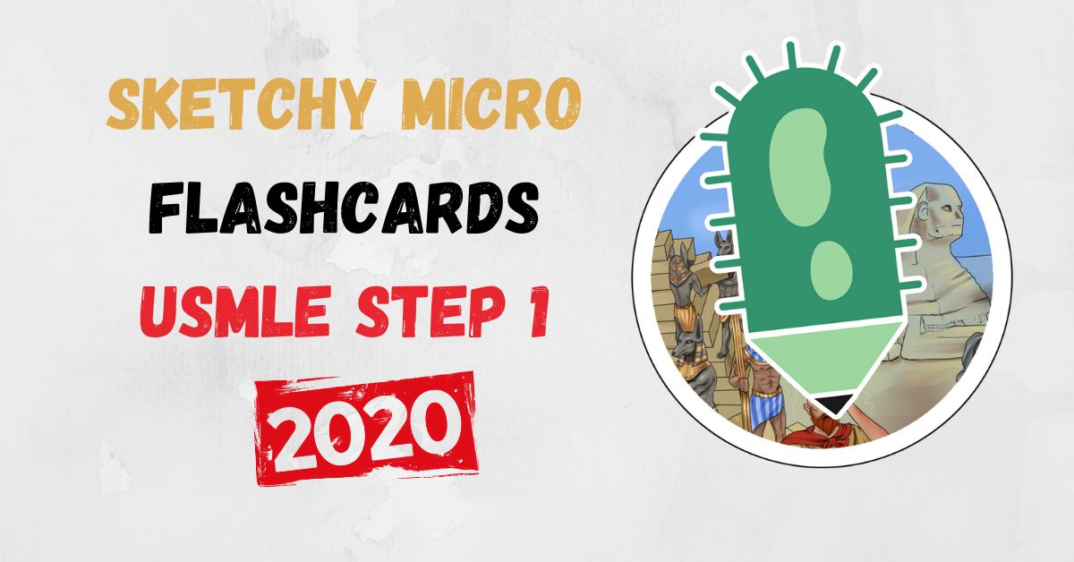 Sketchy Micro Flashcards USMLE Step 1