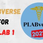 Download PLABverse PDF 2020