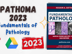 Pathoma 2023 Fundamentals of Pathology PDF